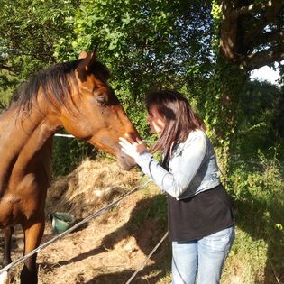 Educatrice & comportementaliste canin à Dinan Dinard Saint-Malo