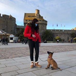 Comportementaliste Canin Dinan Saint-Malo et alentours