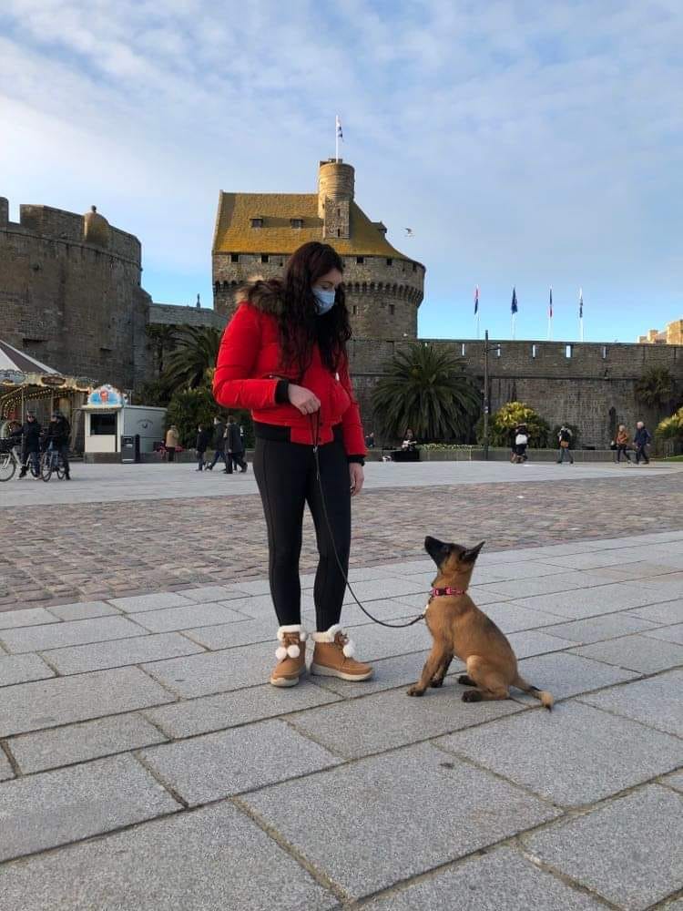 éducateur canin comportementaliste
Education et socialisation du chiot à Saint malo.